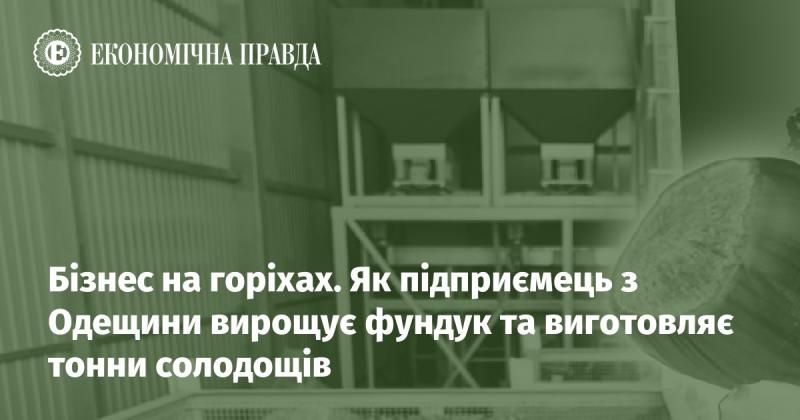 Горіховий бізнес: Як підприємець з Одещини вирощує фундук і створює тонни смаколиків