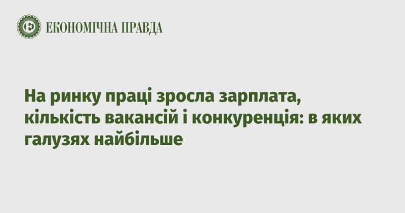 На ринку праці спостерігається зростання заробітних плат, збільшення кількості вакансій та підвищення конкуренції: які галузі лідирують